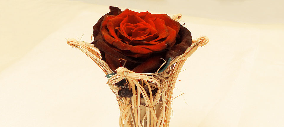 Valentinstag Rosen Wien